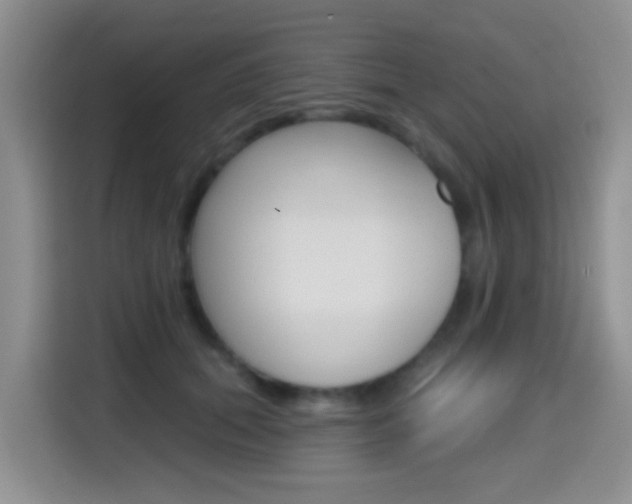 X0000114650655200910201002