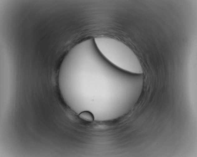 X0000114650658200910201002