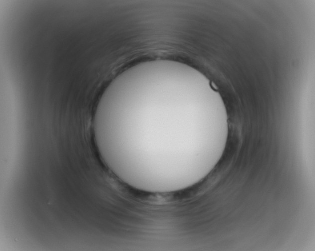 X0000114650660200910201002