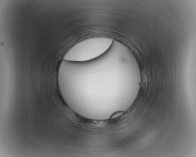 X0000114650667200910201002