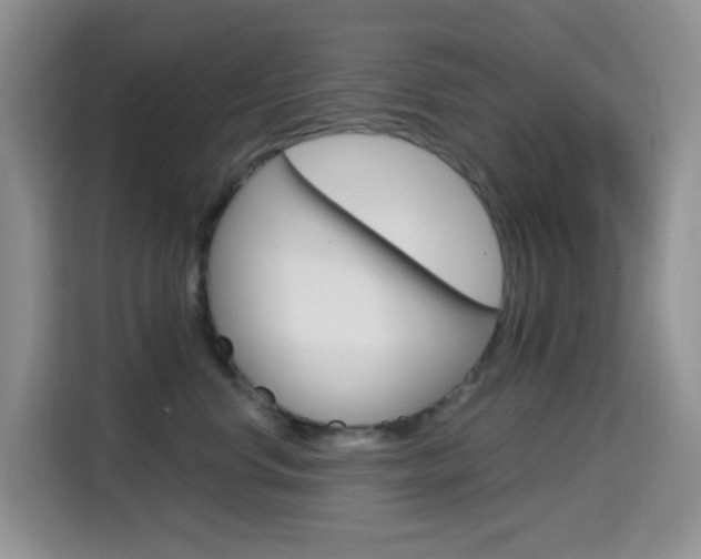 X0000114650668200910201002
