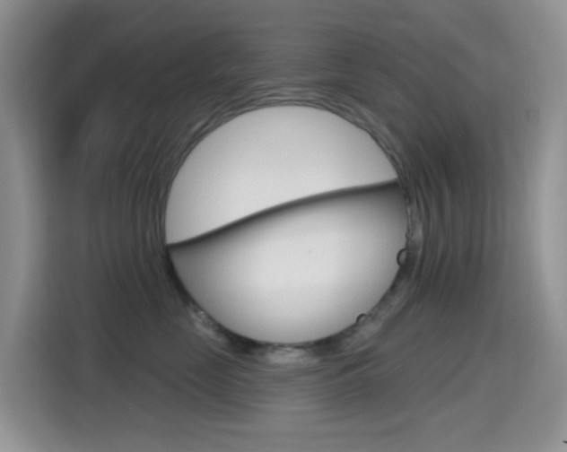 X0000114650669200910201002