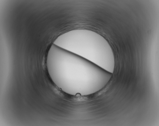 X0000114650670200910201002