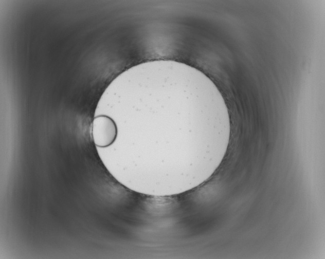 X0000114650672200910201002