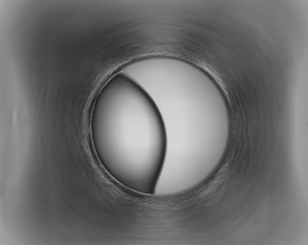 X0000114650673200910201001