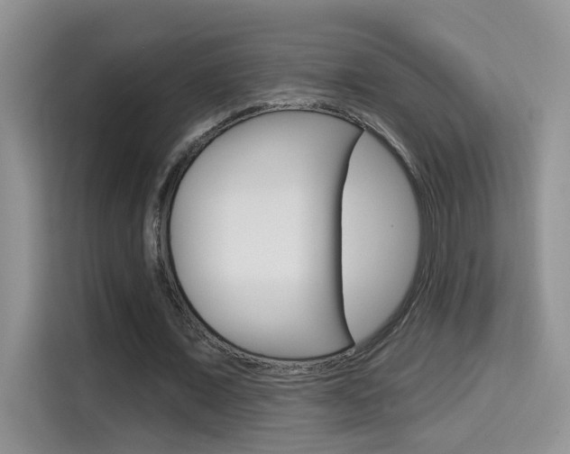 X0000114650675200910201001