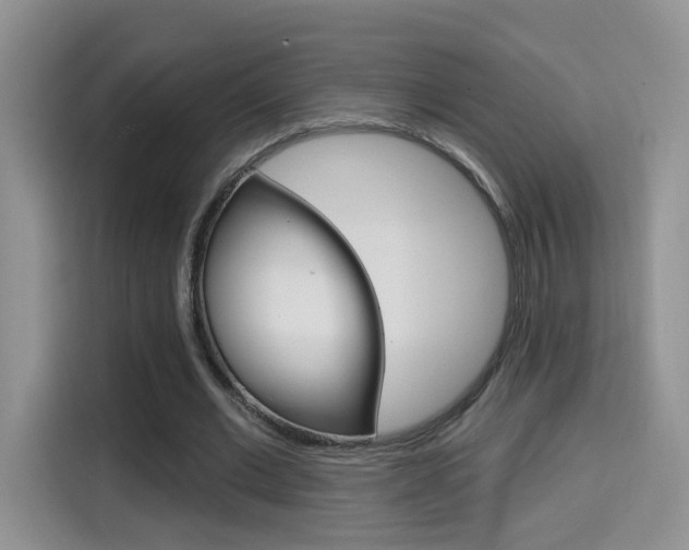 X0000114650677200910201001