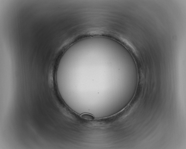 X0000114650681200910201001