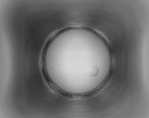 X0000114650682200910201001