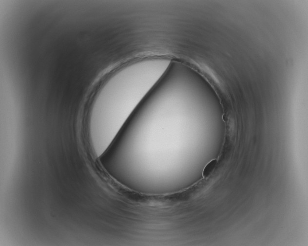 X0000114650684200910201001