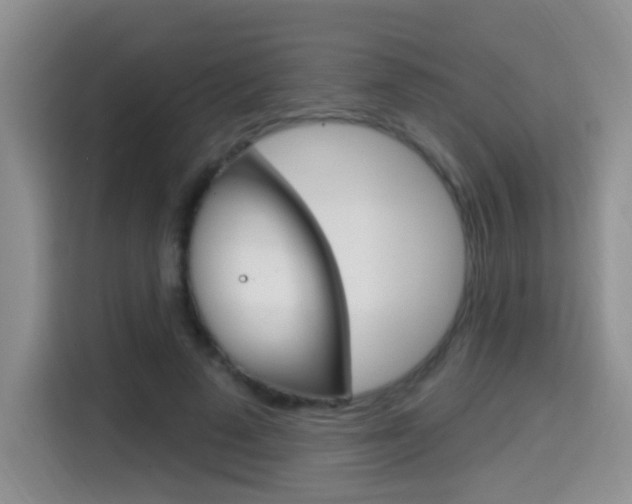 X0000114650689200910201001
