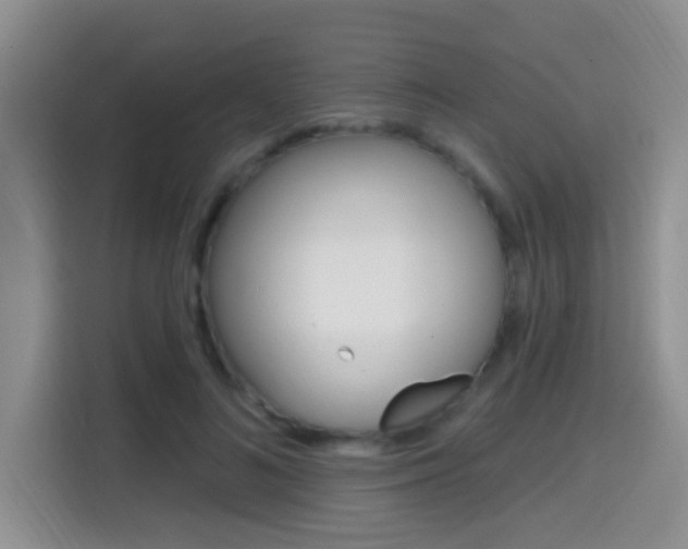 X0000114650692200910201001