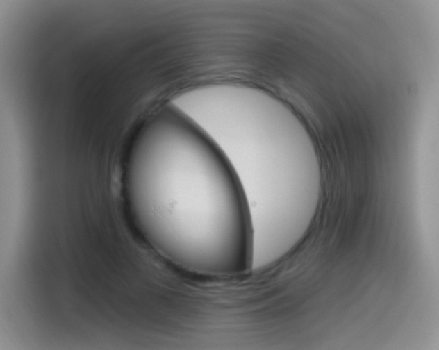 X0000114650693200910201001
