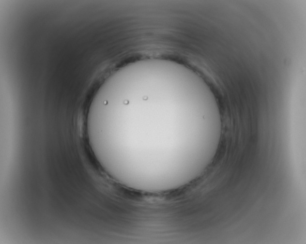 X0000114650694200910201001