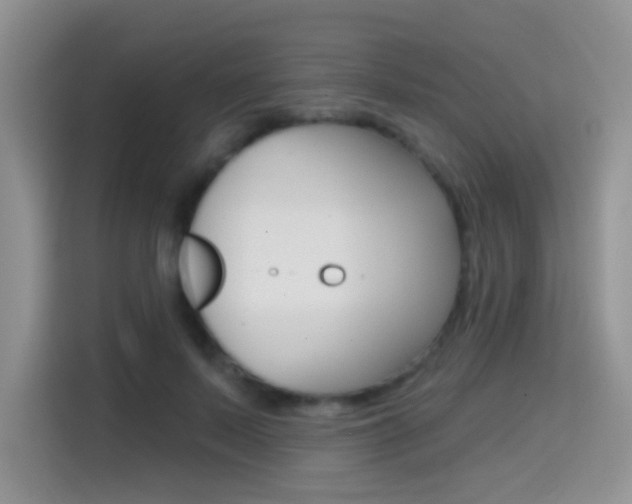 X0000114650695200910201001