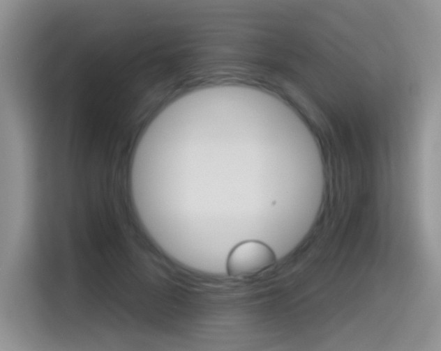 X0000114650696200910201001