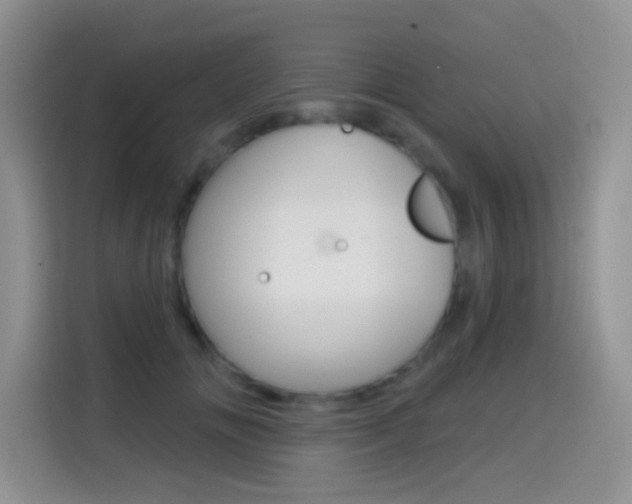 X0000114650702200910201001