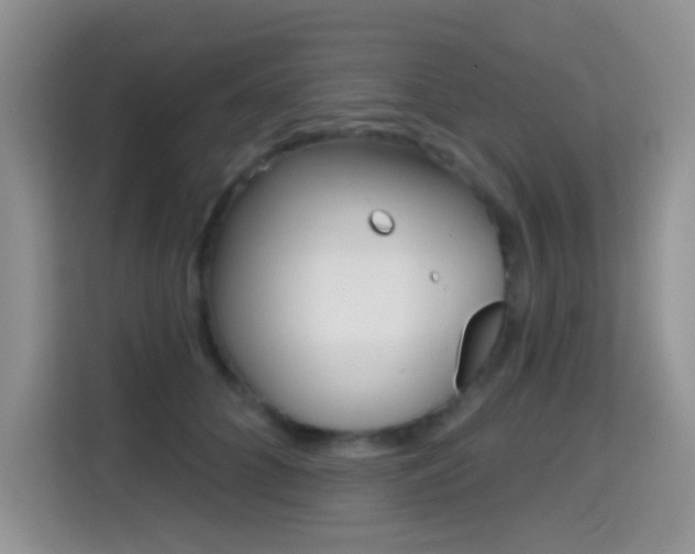 X0000114650704200910201001