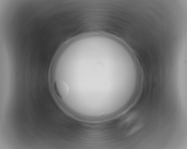 X0000114650705200910201001