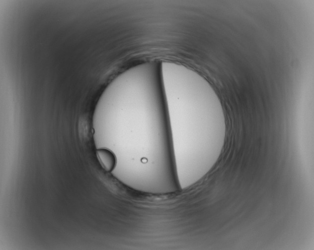 X0000114650715200910201001