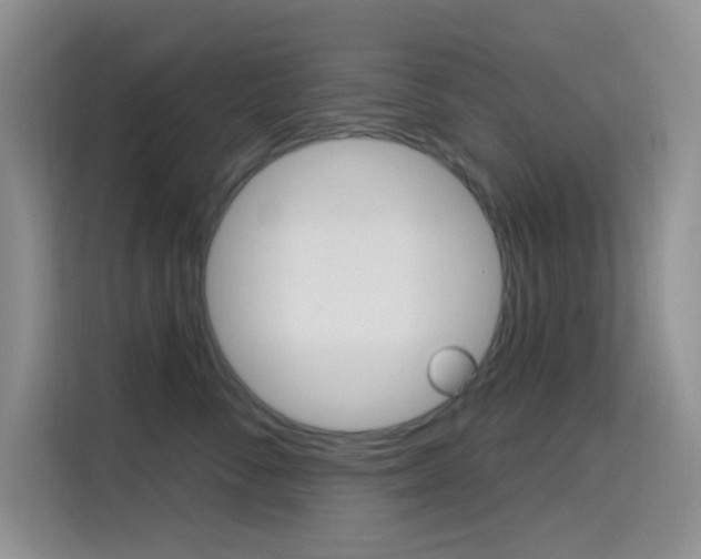 X0000114650716200910201001