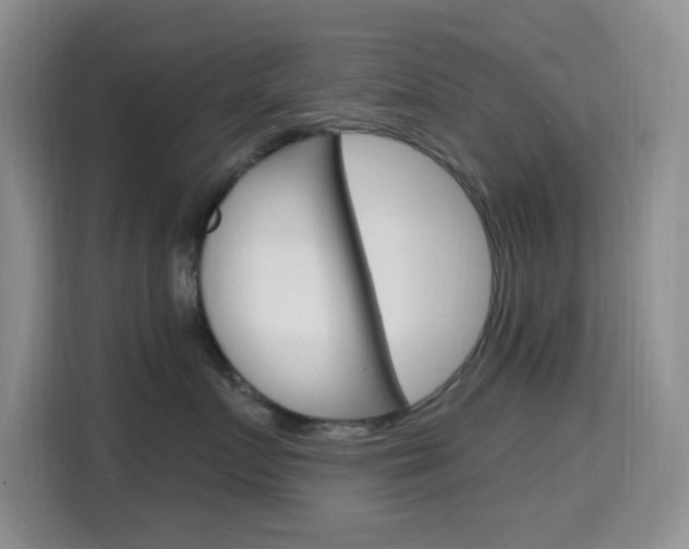 X0000114650719200910201001