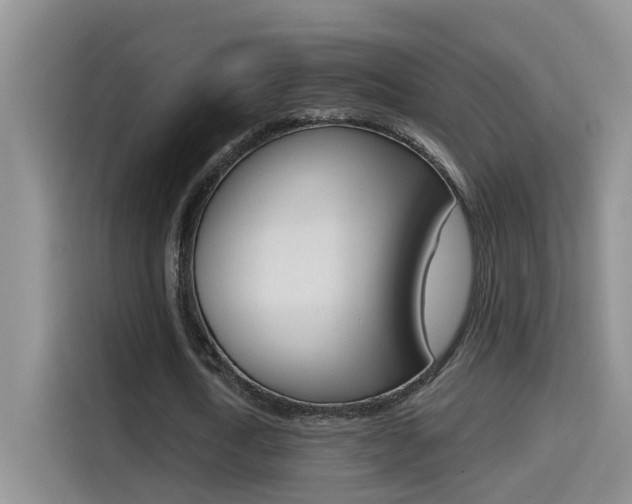 X0000114650722200910201000