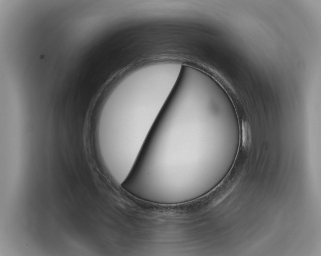 X0000114650723200910201000