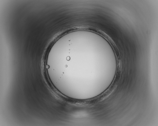 X0000114650725200910201000