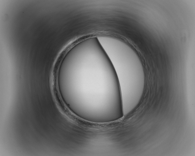 X0000114650726200910201000