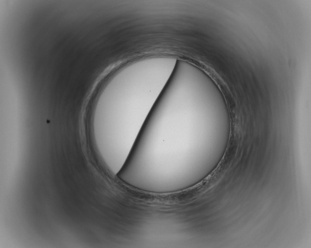 X0000114650727200910201000