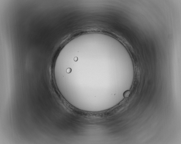 X0000114650729200910201000