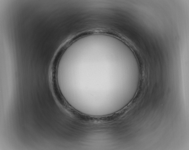 X0000114650730200910201000