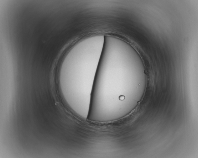 X0000114650731200910201000