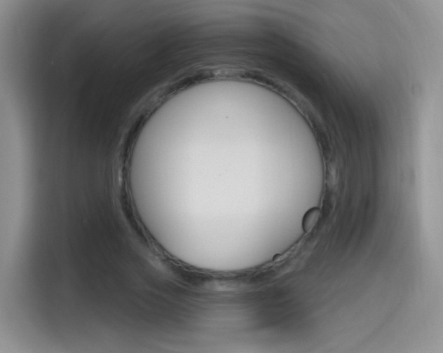 X0000114650733200910201000