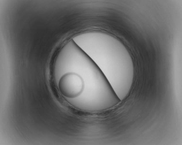 X0000114650734200910201000