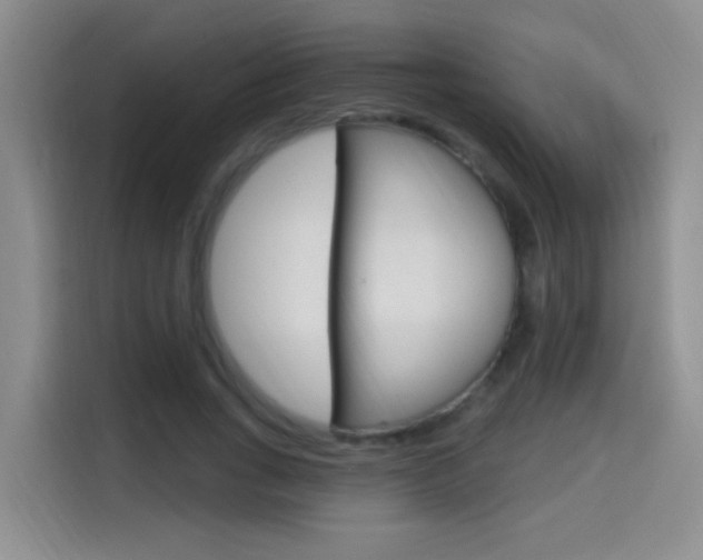 X0000114650735200910201000