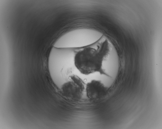 X0000114650737200910201000