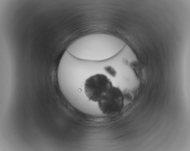 X0000114650741200910201000