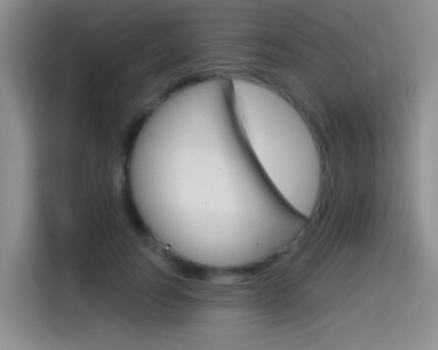 X0000114650746200910201000
