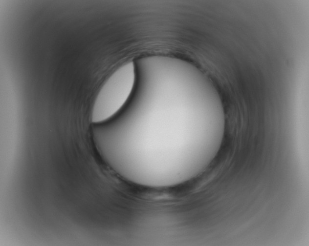 X0000114650747200910201000