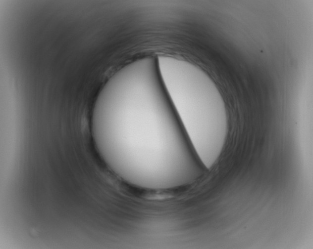 X0000114650754200910201000
