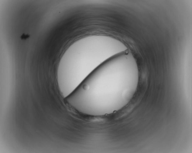 X0000114650759200910201000