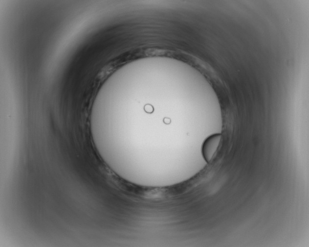 X0000114650761200910201000