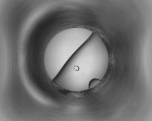X0000114650763200910201001