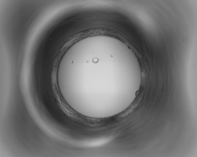 X0000114650765200910201001