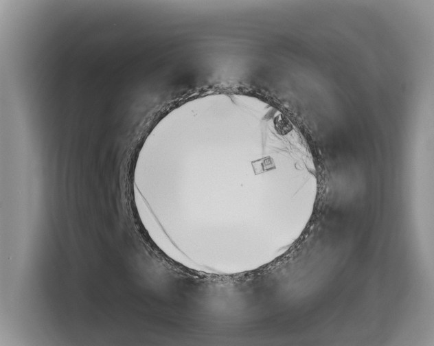 X0000114650769200910201000