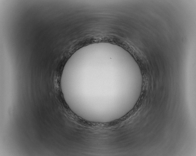 X0000114650770200910201000