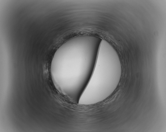 X0000114650771200910201000