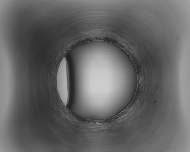X0000114650772200910201000